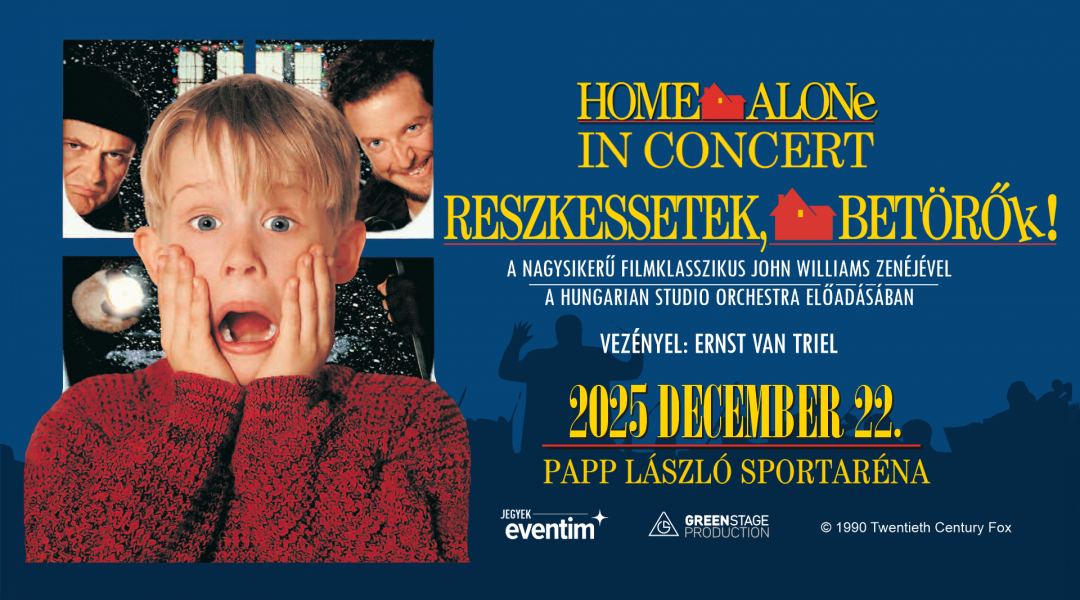 Experience the real Home Alone experience live this Christmas!