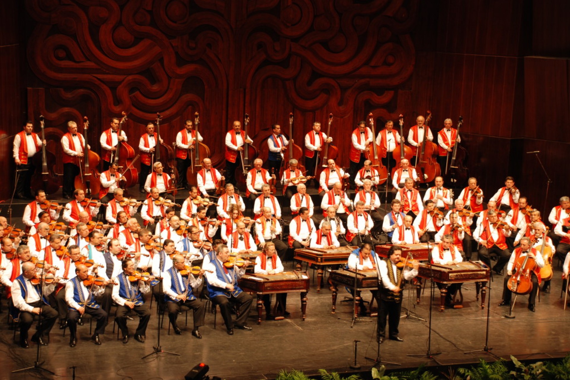 The 100 Member Gypsy Orchestra of Hungary