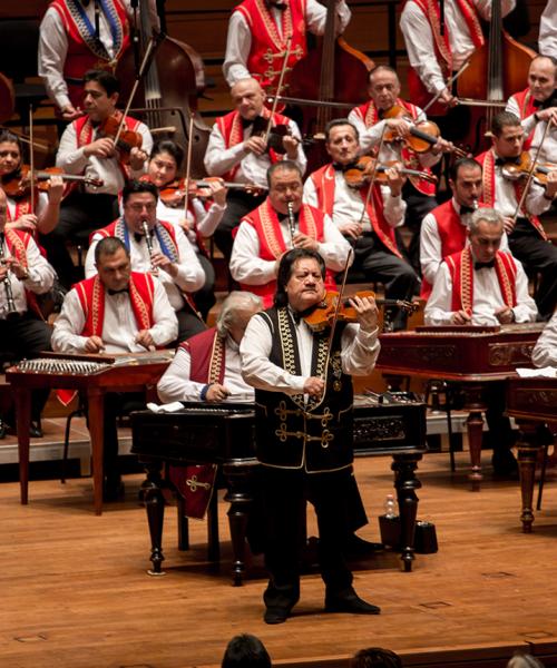 100-member Gipsy Orchestra
